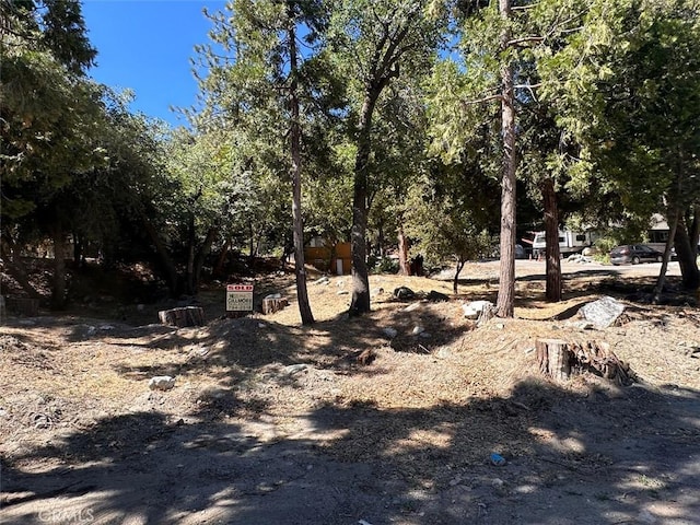 41132 Oak Dr, Forest Falls, CA 92339 - view of yard
