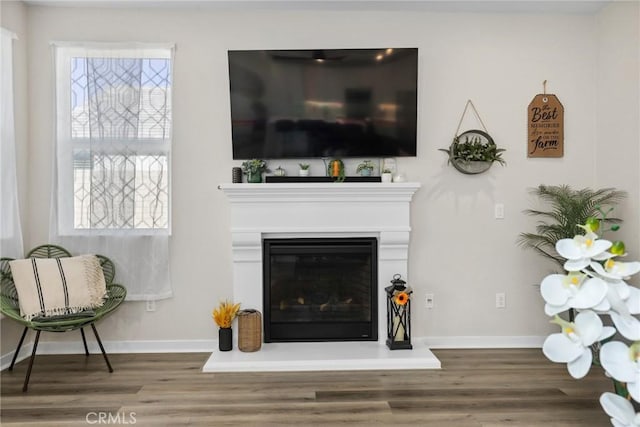 28709 Wildflower, Castaic, CA 91384 - living area featuring wood finished floors and a glass covered fireplace