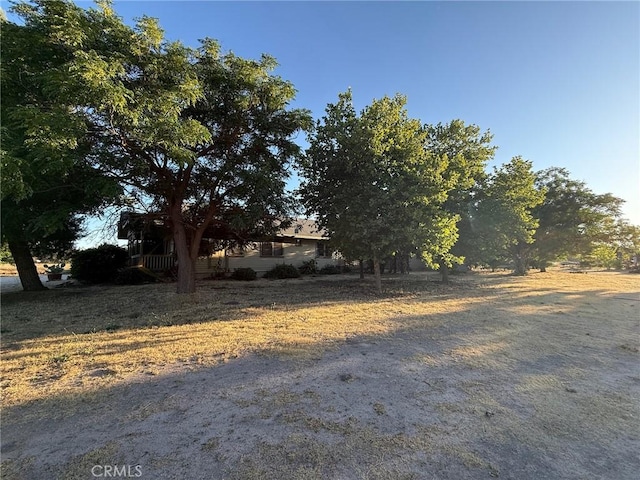 6535 Odonovan Rd, Creston, CA 93432 - view of yard