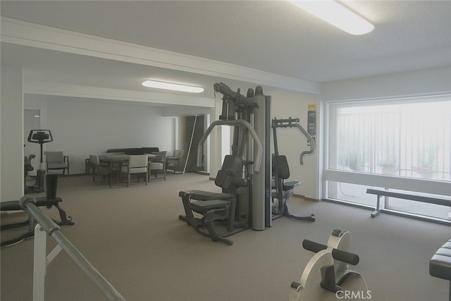 6675 Mission Gorge Rd Unit A114, San Diego, CA 92120 - exercise area featuring carpet flooring