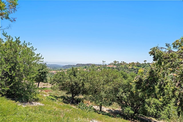 39 La Purisima, Rancho Santa Margarita, CA 92688 - photo 46