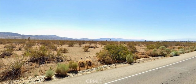 10707 Pearblossom Hwy, Littlerock, CA 93543 - photo 5