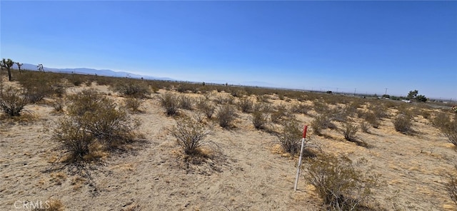 10707 Pearblossom Hwy, Littlerock, CA 93543 - photo 8