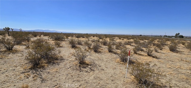 10707 Pearblossom Hwy, Littlerock, CA 93543 - photo 7