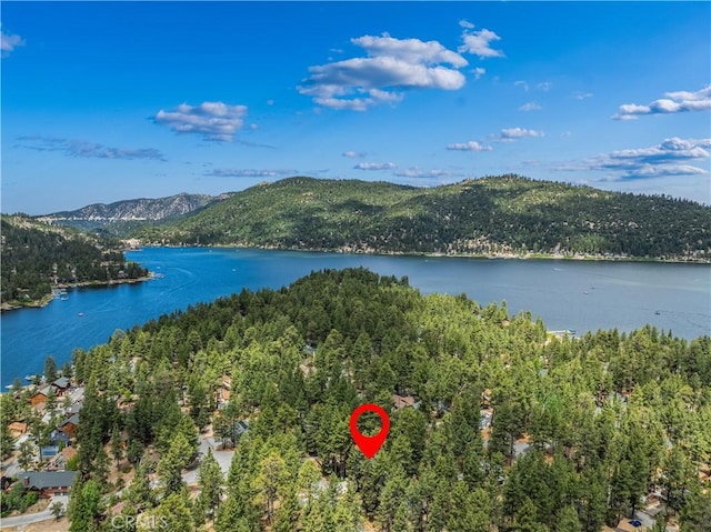 39122 Starview Ln, Big Bear Lake, CA 92315 - photo 48