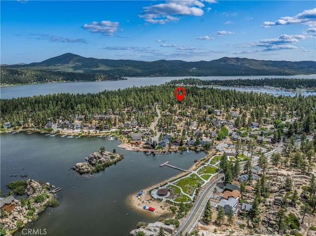 39122 Starview Ln, Big Bear Lake, CA 92315 - photo 50