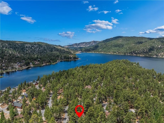 39122 Starview Ln, Big Bear Lake, CA 92315 - photo 47