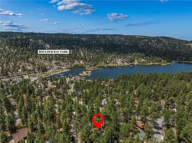 39122 Starview Ln, Big Bear Lake, CA 92315 - photo 46