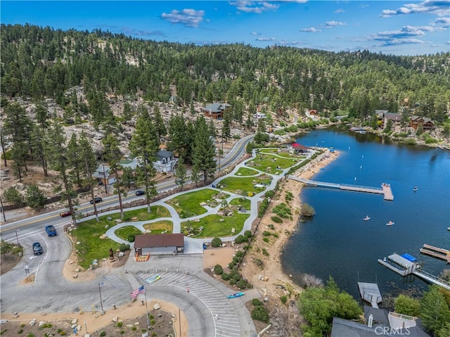 39122 Starview Ln, Big Bear Lake, CA 92315 - photo 49
