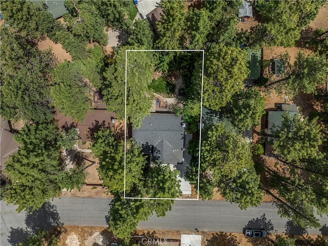 39122 Starview Ln, Big Bear Lake, CA 92315 - photo 45