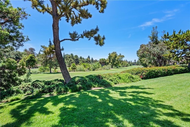 652 Via Zapata, Riverside, CA 92507 - view of grassy yard with view of scattered trees