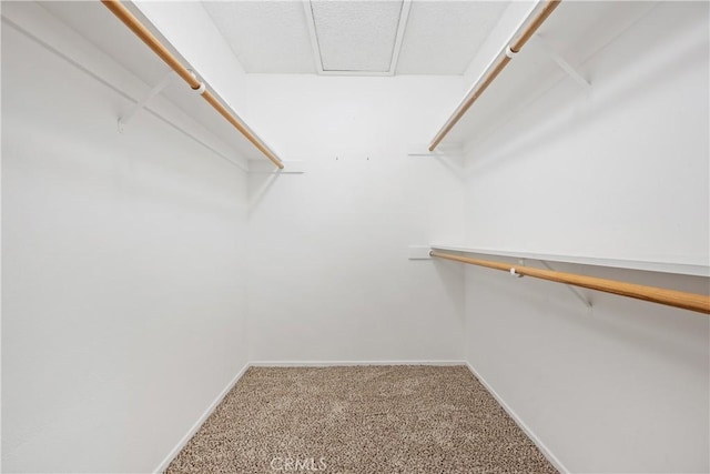 652 Via Zapata, Riverside, CA 92507 - walk in closet with carpet flooring