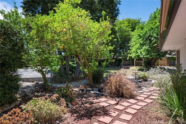8 Coveview Dr, Rancho Palos Verdes, CA 90275 - view of fenced backyard