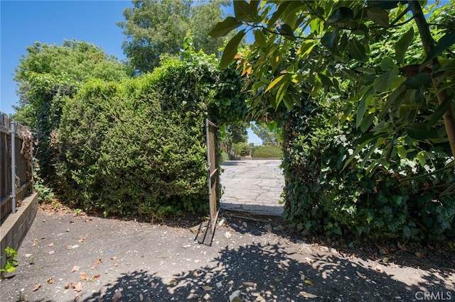 8 Coveview Dr, Rancho Palos Verdes, CA 90275 - view of yard with a patio area
