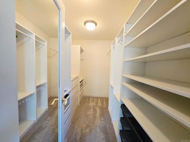 2811 Bear Valley Rd, Chula Vista, CA 91915 - walk in closet with carpet flooring