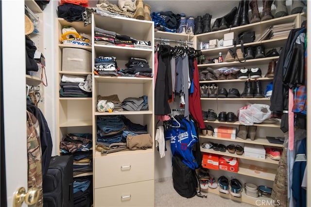 2322 Carolyn Dr, Palmdale, CA 93551 - view of spacious closet