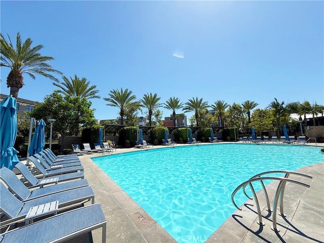 1505 Rivington, Irvine, CA 92612 - community pool with a patio area