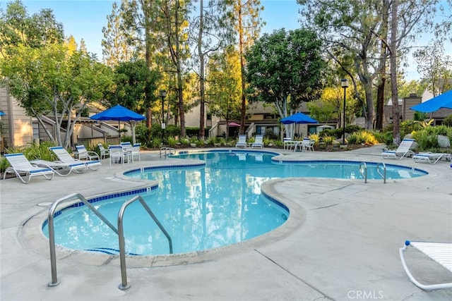 1696 Shady Brook Dr Unit 14, Fullerton, CA 92831 - community pool featuring a patio area