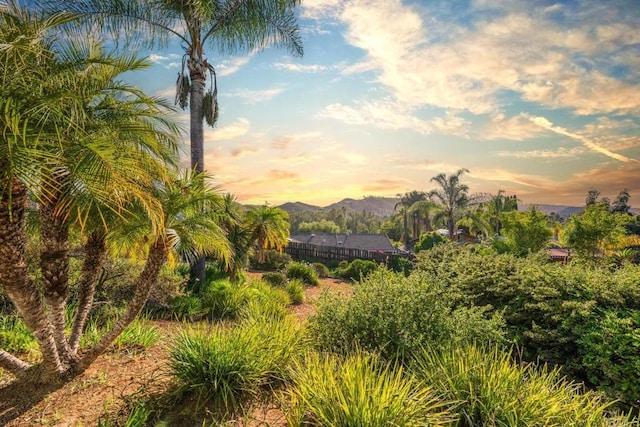 2027 Jenna Pl, Escondido, CA 92029 - mountain view
