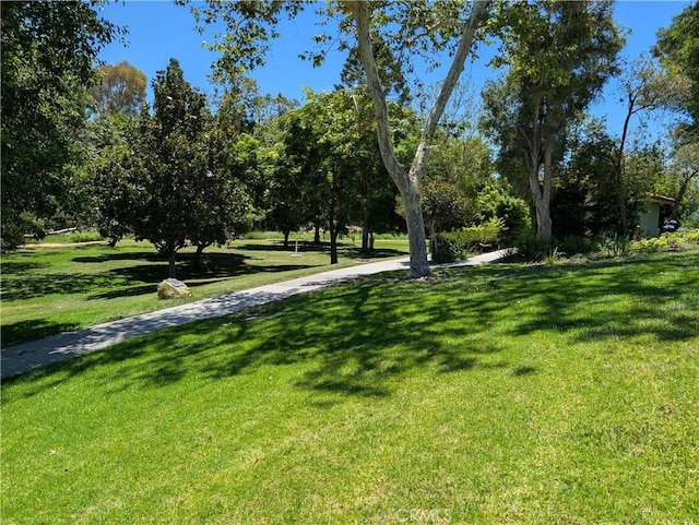 188 Avenida Majorca Unit A, Laguna Woods, CA 92637 - photo 6