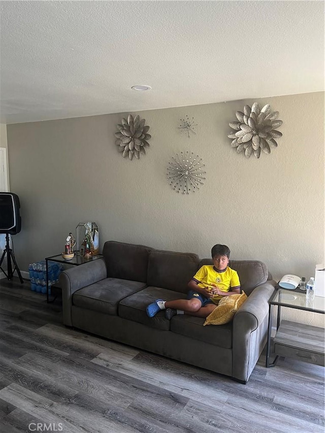26447 Paseo Carmel Unit 11D, San Juan Capistrano, CA 92675 - living room featuring wood finished floors and a textured ceiling