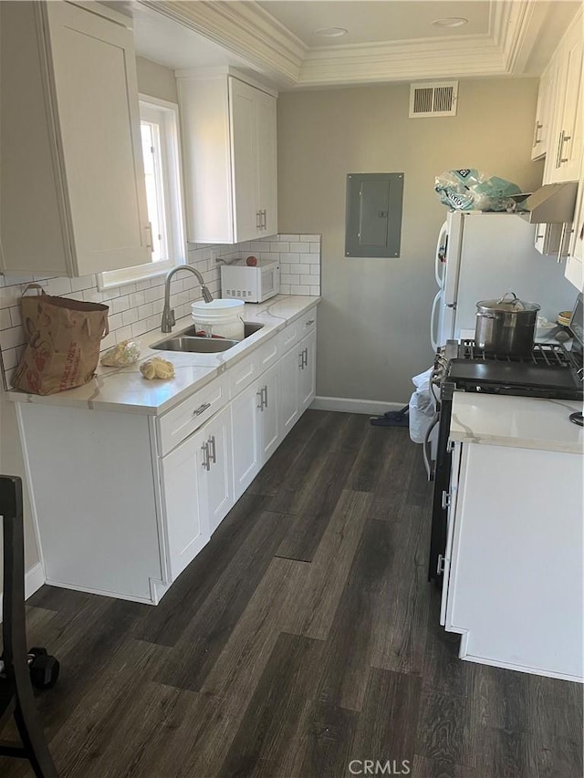 26447 Paseo Carmel Unit 11D, San Juan Capistrano, CA 92675 - kitchen featuring electric panel, white appliances, a tray ceiling, dark wood-type flooring, and white cabinetry