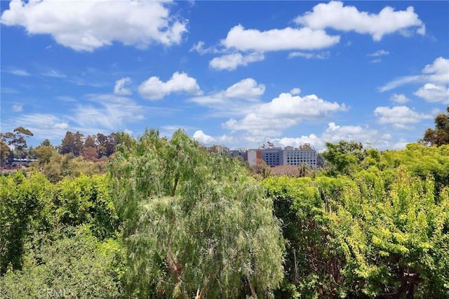 182 Denslow Ave, Los Angeles, CA 90049 - exterior space