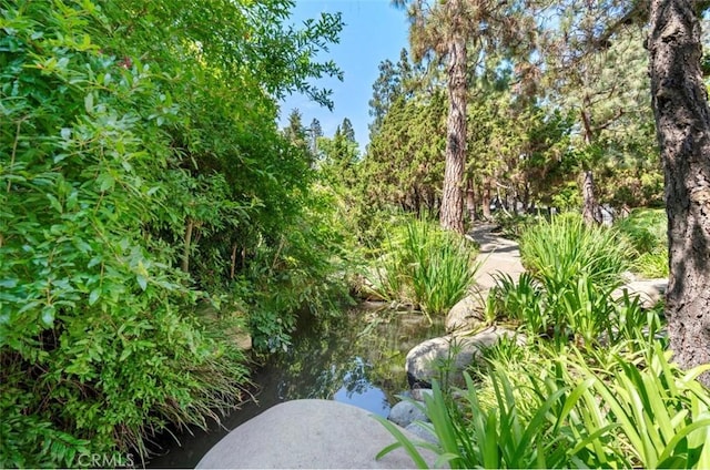 2532 W Macarthur Blvd Unit B, Santa Ana, CA 92704 - view of undeveloped land