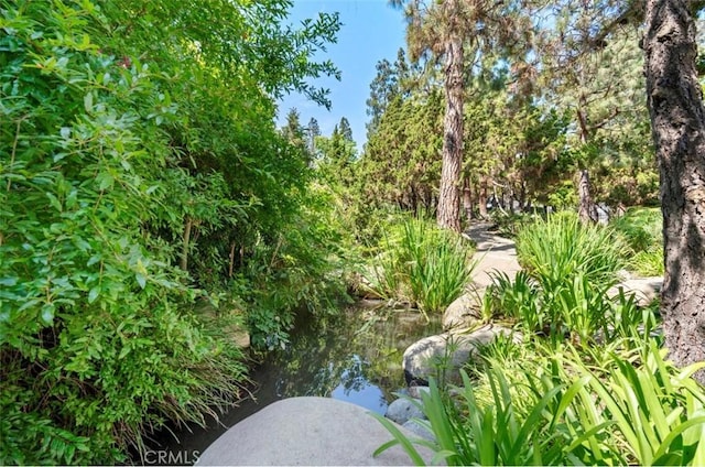 2532 W Macarthur Blvd Unit B, Santa Ana, CA 92704 - photo 27