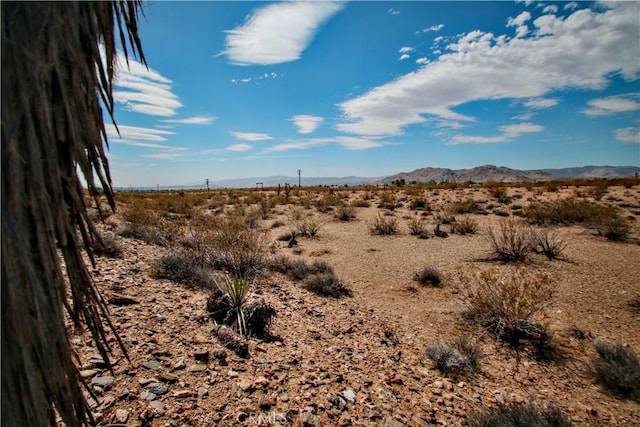 60024 La Brisa Dr, Joshua Tree, CA 92252