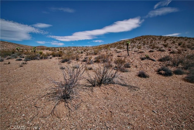 60024 La Brisa Dr, Joshua Tree, CA 92252