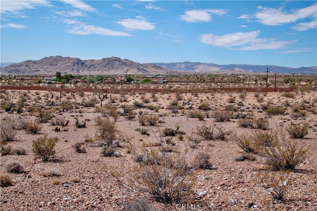 60024 La Brisa Dr, Joshua Tree, CA 92252