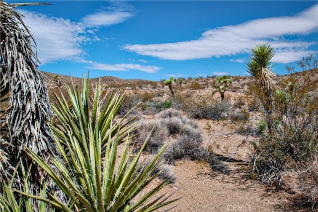 60024 La Brisa Dr, Joshua Tree, CA 92252