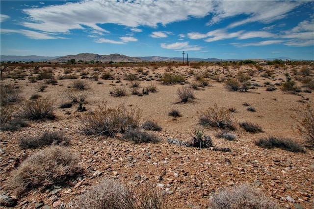 60024 La Brisa Dr, Joshua Tree, CA 92252