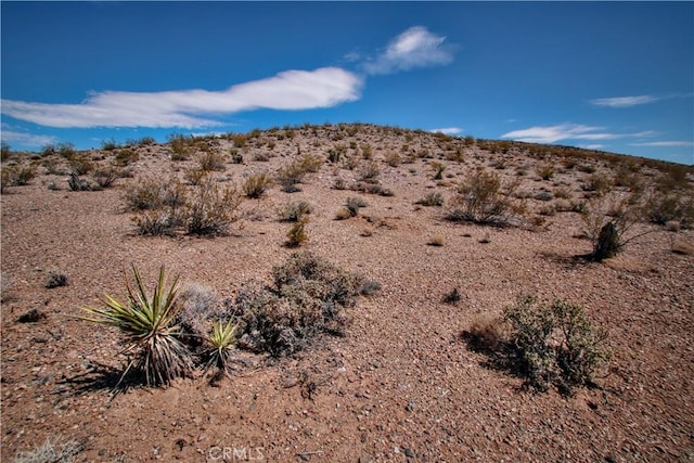 60024 La Brisa Dr, Joshua Tree, CA 92252