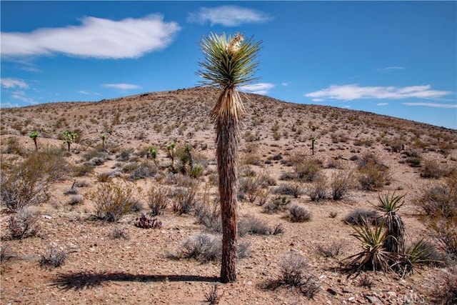 60024 La Brisa Dr, Joshua Tree, CA 92252