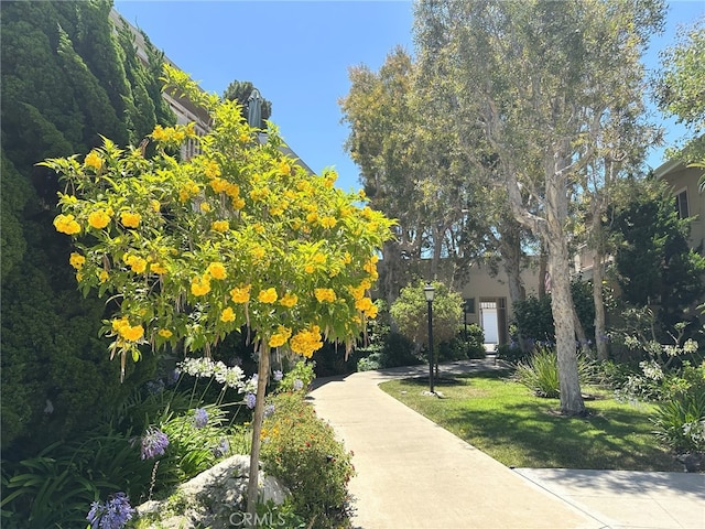 3230 Merrill Dr Unit 45, Torrance, CA 90503 - photo 23