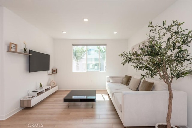 1851 S Union St Unit 10, Anaheim, CA 92805 - living room featuring light wood-style flooring and recessed lighting