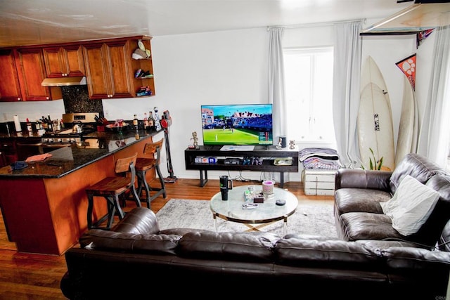 3943 Ingraham St, San Diego, CA 92109 - living room featuring dark wood-style flooring