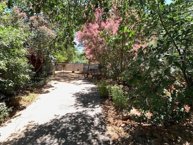 4822 Belvedere Dr, Julian, CA 92036 - view of asphalt driveway