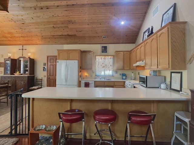 4822 Belvedere Dr, Julian, CA 92036 - kitchen with white appliances, under cabinet range hood, vaulted ceiling, wooden ceiling, and a peninsula