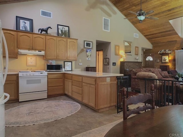 4822 Belvedere Dr, Julian, CA 92036 - kitchen featuring white range oven, under cabinet range hood, high vaulted ceiling, stainless steel microwave, and open floor plan