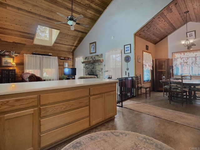 4822 Belvedere Dr, Julian, CA 92036 - photo 9