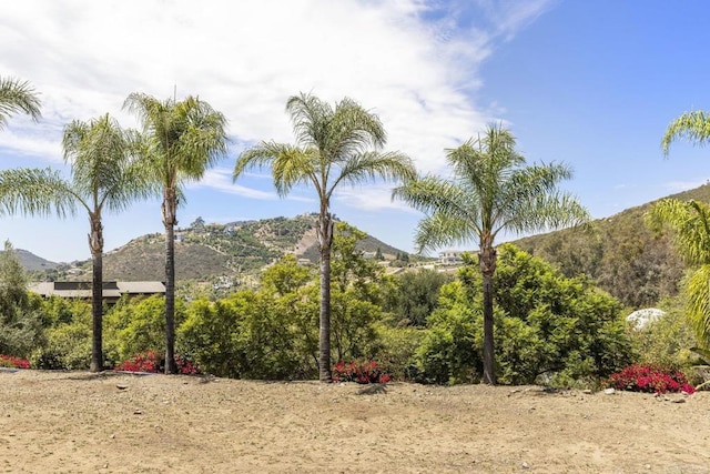 1108 Blue Bird Canyon Trl, Vista, CA 92084 - photo 30