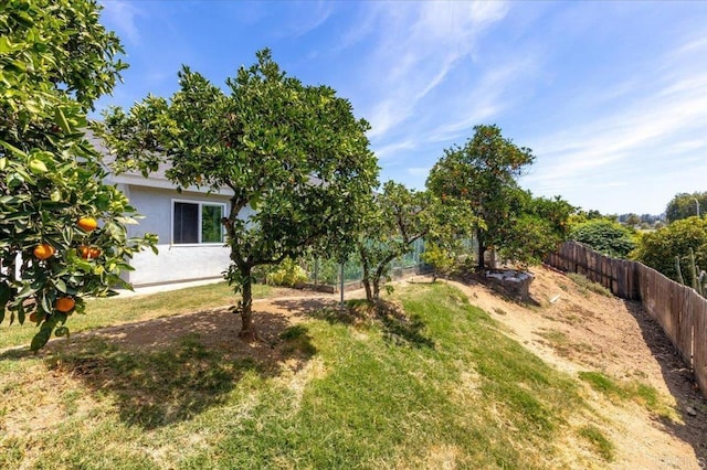 929 Terrace Ave, Escondido, CA 92026 - photo 27
