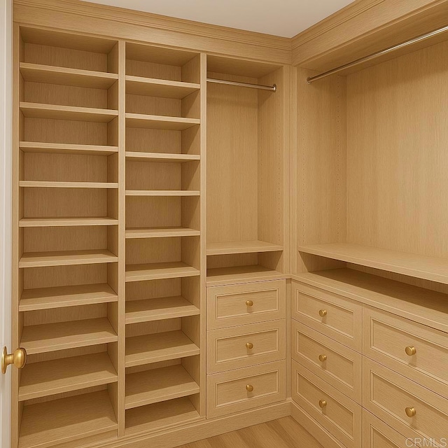 709 Puebla St, Encinitas, CA 92024 - view of spacious closet