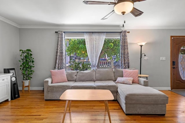4624 Katherine Place, La Mesa, CA 91942 - living room with ceiling fan, crown molding, and light wood-style floors