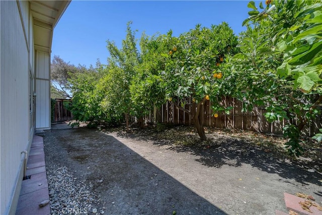 92 Mariposa Dr, San Luis Obispo, CA 93401 - view of yard