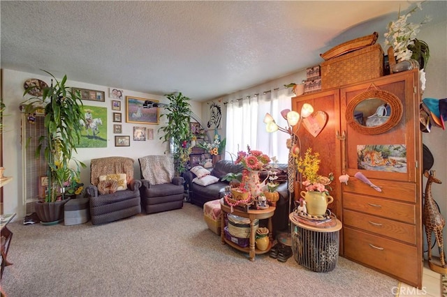 2130 Ocean St, Oceano, CA 93445 - carpeted living room featuring a textured ceiling