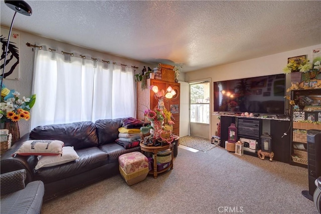 2130 Ocean St, Oceano, CA 93445 - carpeted living room featuring plenty of natural light and a textured ceiling
